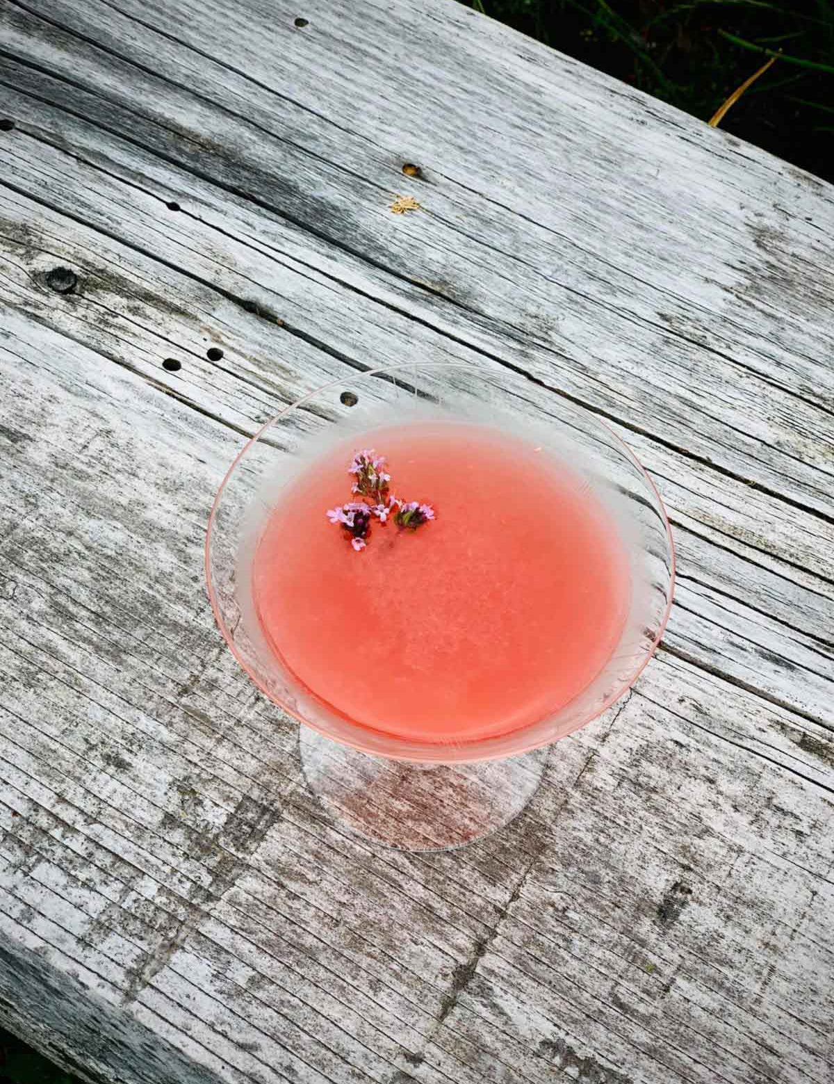 Spring Rhubarb Sipper