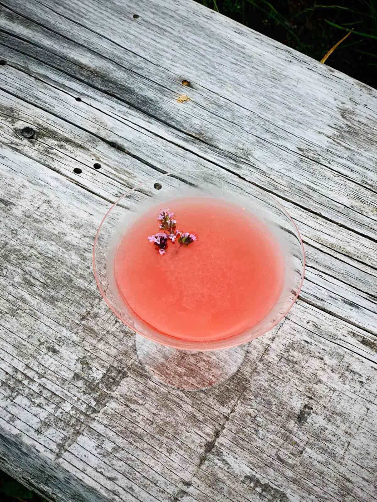 Spring Rhubarb Sipper
