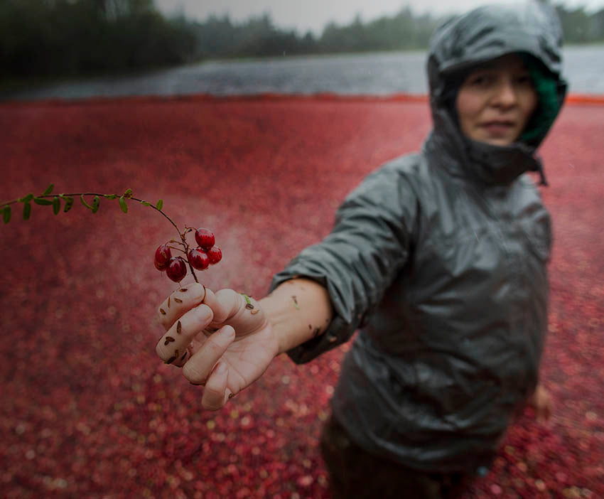 Winter Spiced Cranberry Liqueur – adriftdistillers
