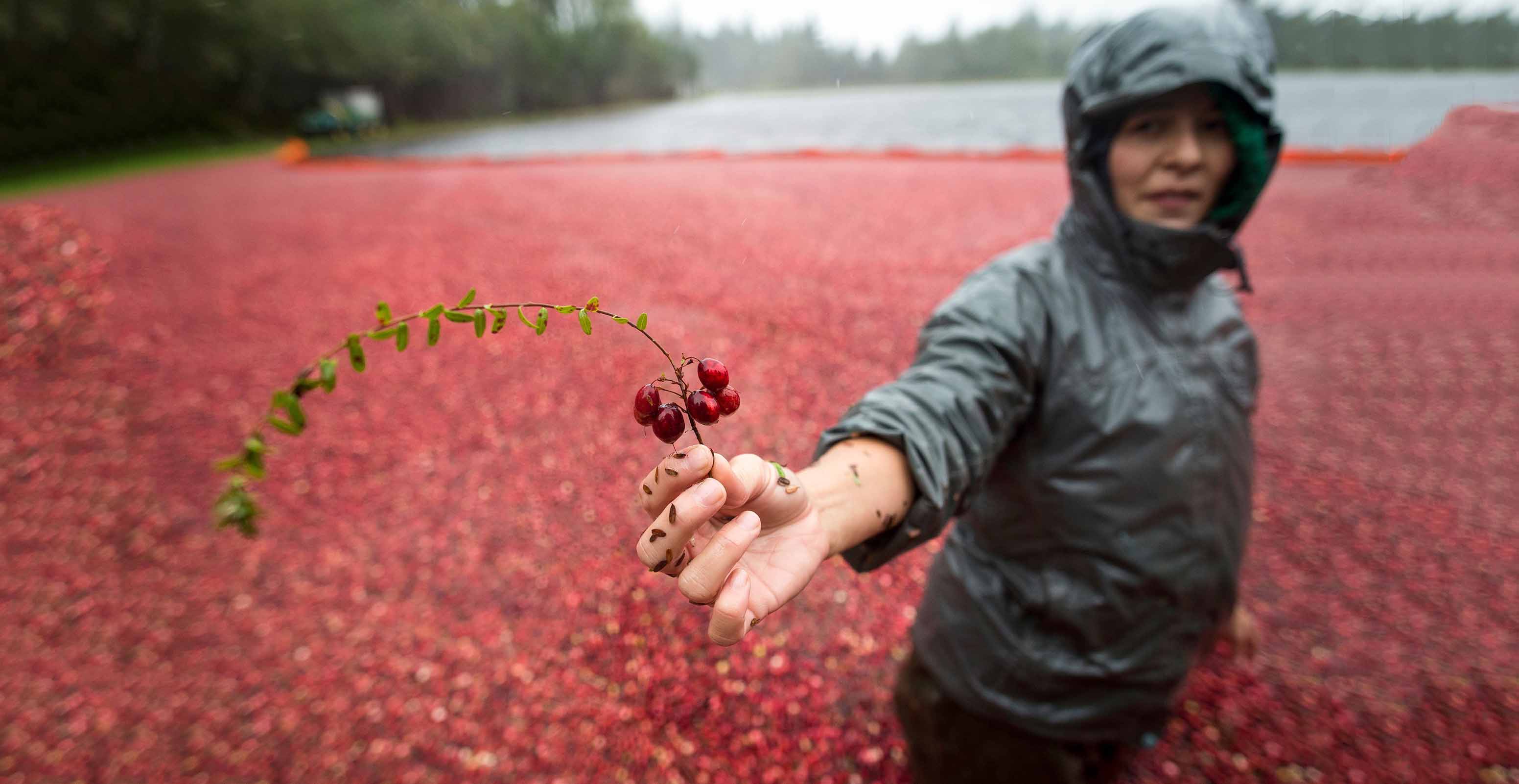 About Us – adriftdistillers